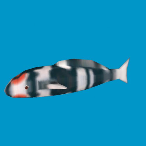 koi fishb