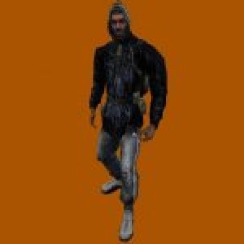 stalker bandit4