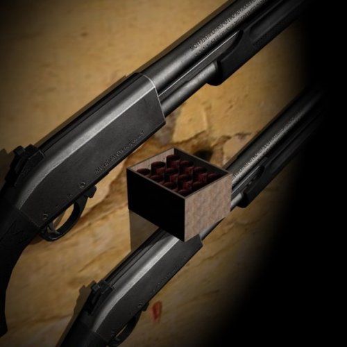 L4D2 Shotgun Reanimation