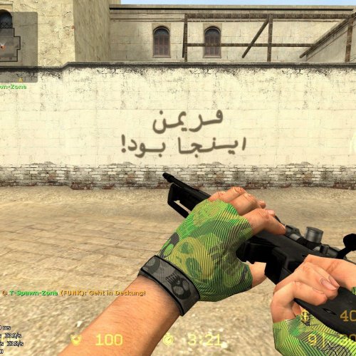 Skull_Camo_Gloves