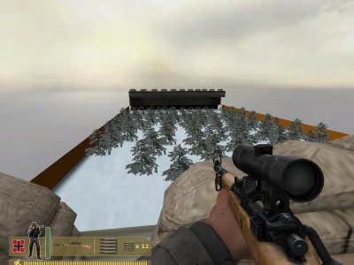 dod_lynx_forest