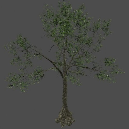S_ENV_TreeSize02_yellow