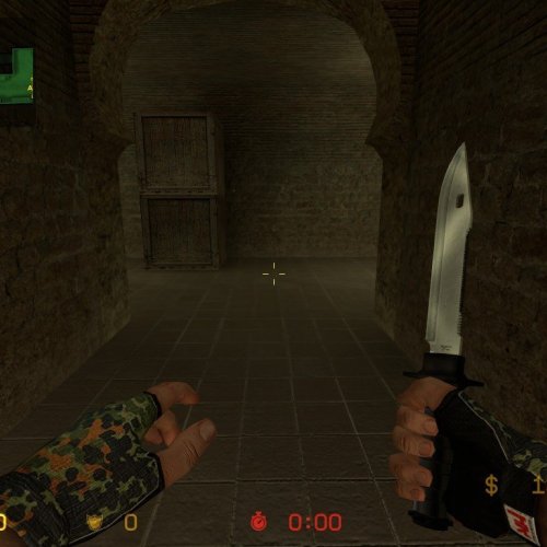 H_K_Flecktarn_and_black_gloves