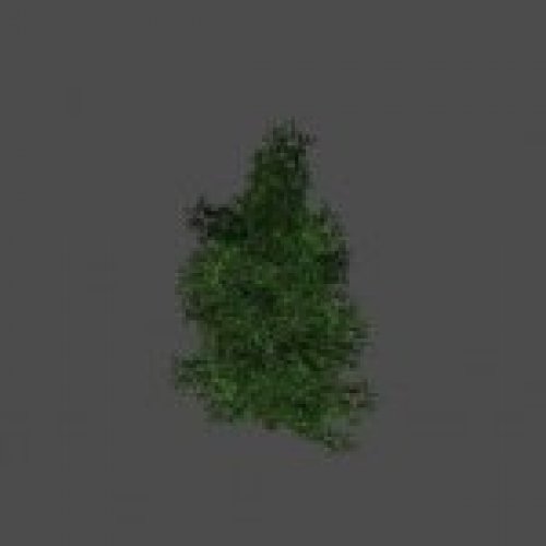 tree17