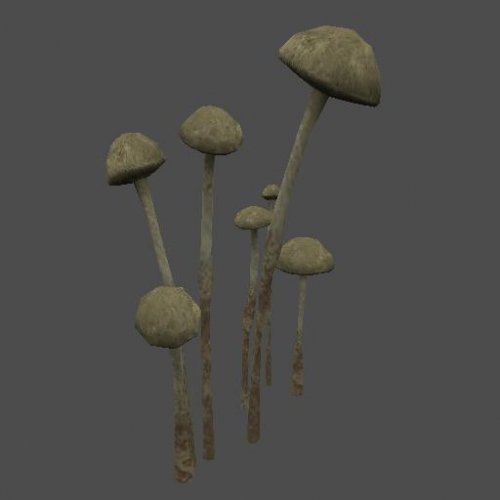 fnv_fungus02