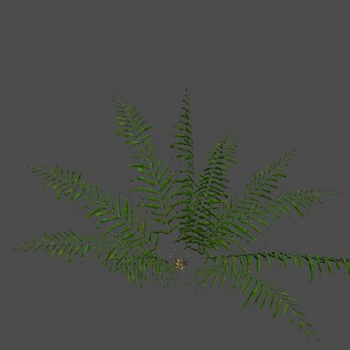 cc_pr_OfficePlants_01