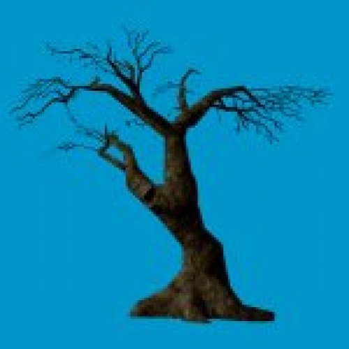 jn_twisttree_01_bb