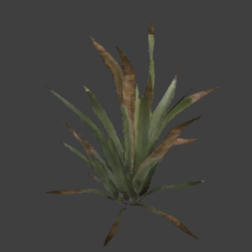 plant3