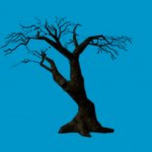 jn_twisttree_skybox