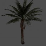 pc_palm1