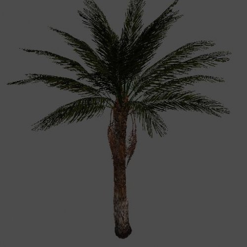 pc_palm1