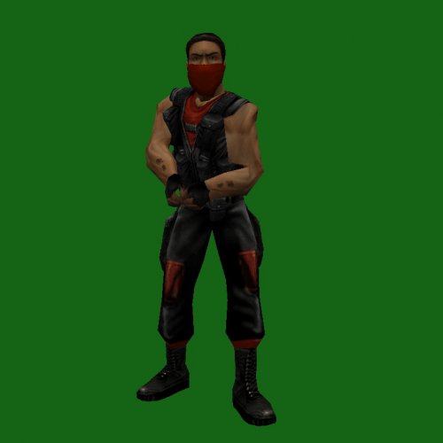 RDRP_Asian04