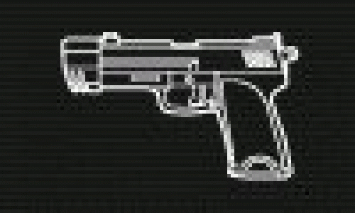 Pistol
