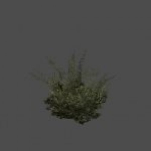 hl2_bush