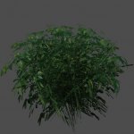 foliage_03