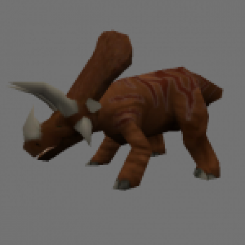 Triceratops Baby