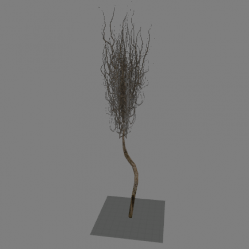l10_swamp_kamysh_tree1