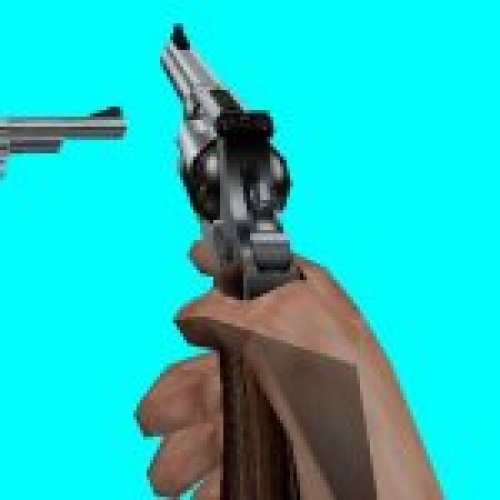 Smith & Wesson 629+Texture BS