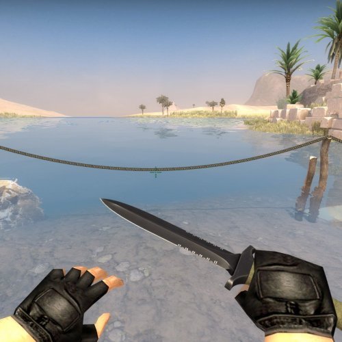 CS16 hands