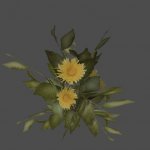 AF_flower