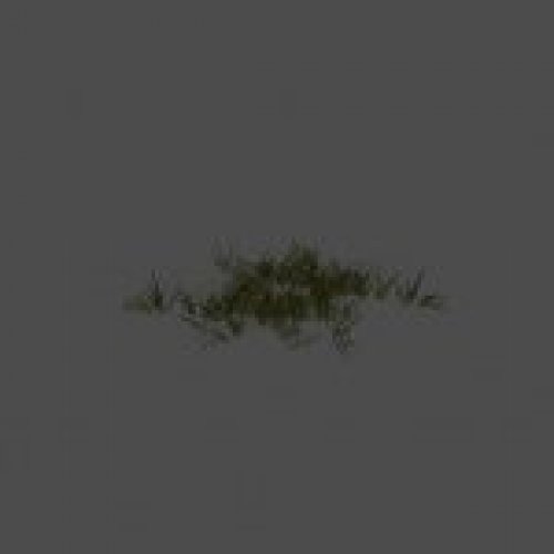 grass6