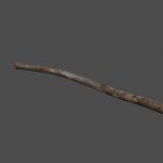 mex_branch11