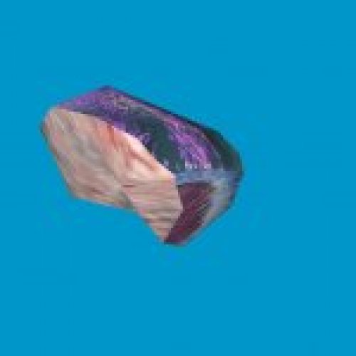 jn_blue_mushroom_03_gib03