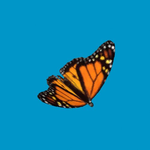 butterfly01