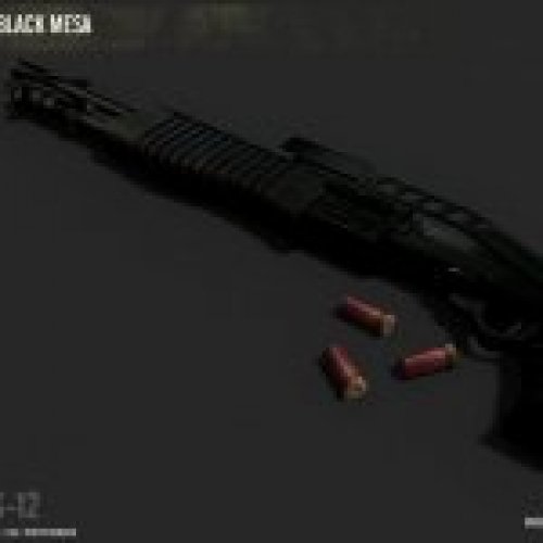 BMS SPAS-12