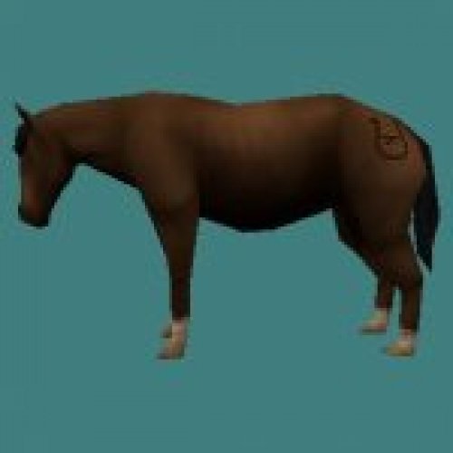 hessi_pony02.mdl