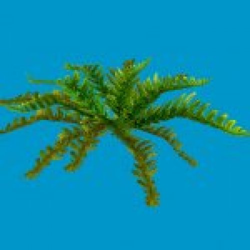 jn hollyfern 03