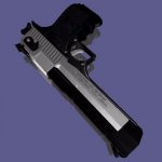 Two Toned Desert Eagle