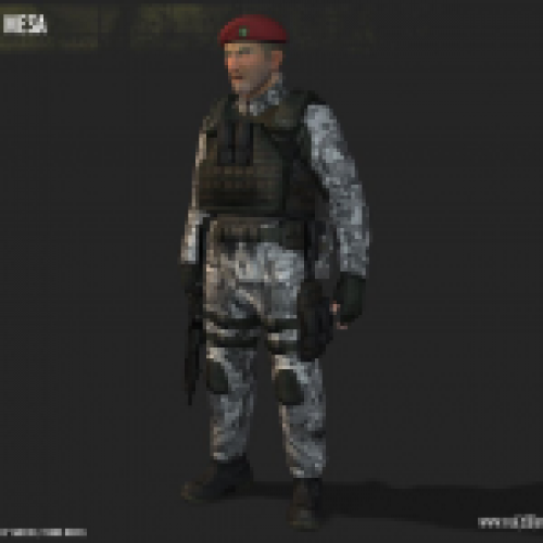 Black Mesa Marines