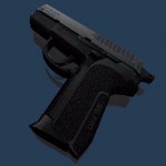 Sig Pro 2009