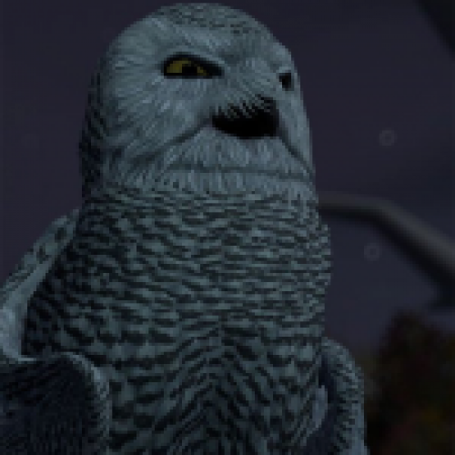 Blu, Jewel, and a Snowy Owl