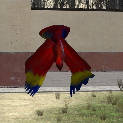 Parrot_Skin