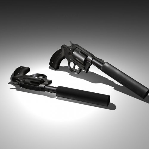 Silenced .357
