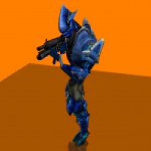 Halo Covenant