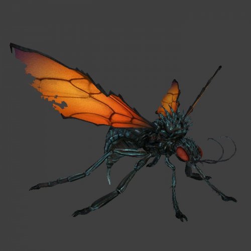 Cazadore