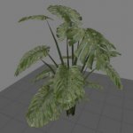 mall_bigleaves_plant01