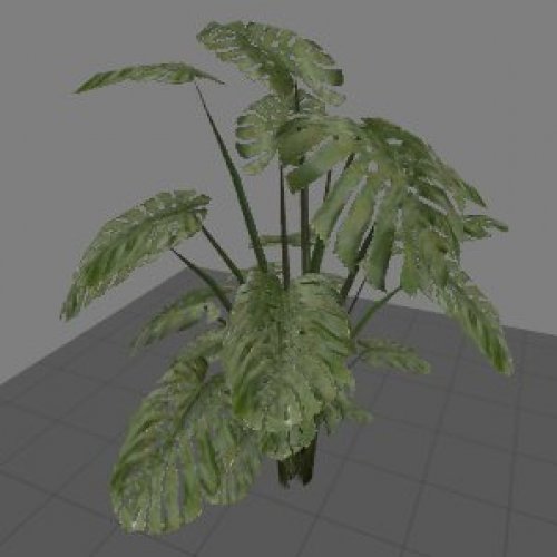 mall_bigleaves_plant01