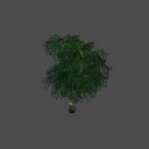 tree25