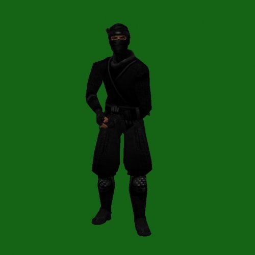 DGF_Ninja_NSa