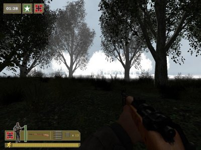 dod_forest