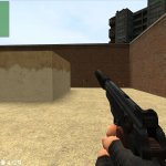 Flakk&acute;s Stechkin APSB