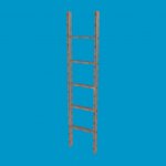 ladder