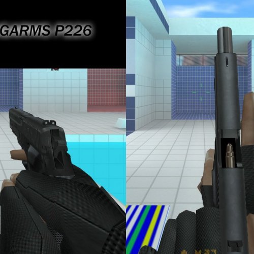 Schmung s SIGARMS P226 On GO Anims