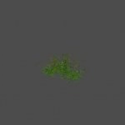 largebush06_ref
