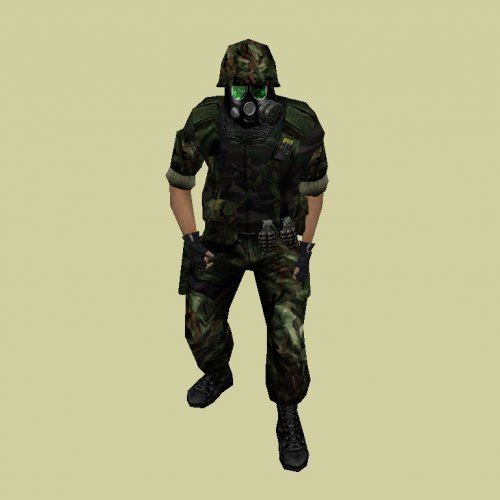 veteran