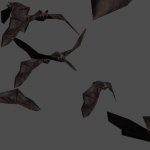 bat_witch